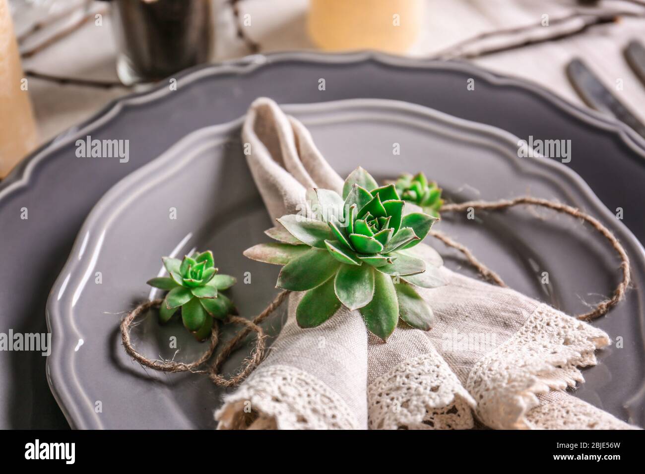 Table served with succulents on plate Stock Photo