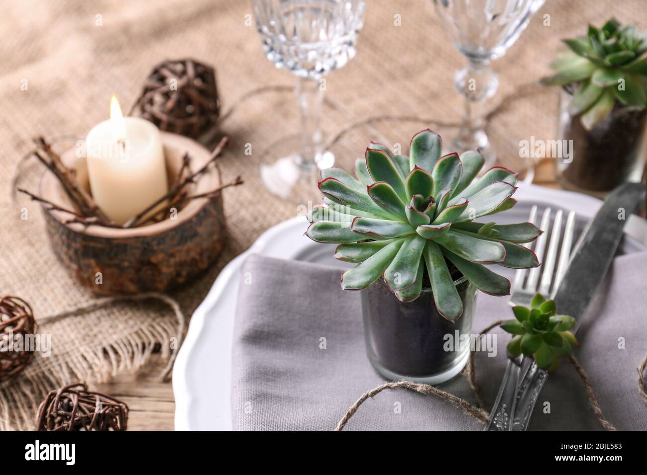 Table served with succulents on plate Stock Photo