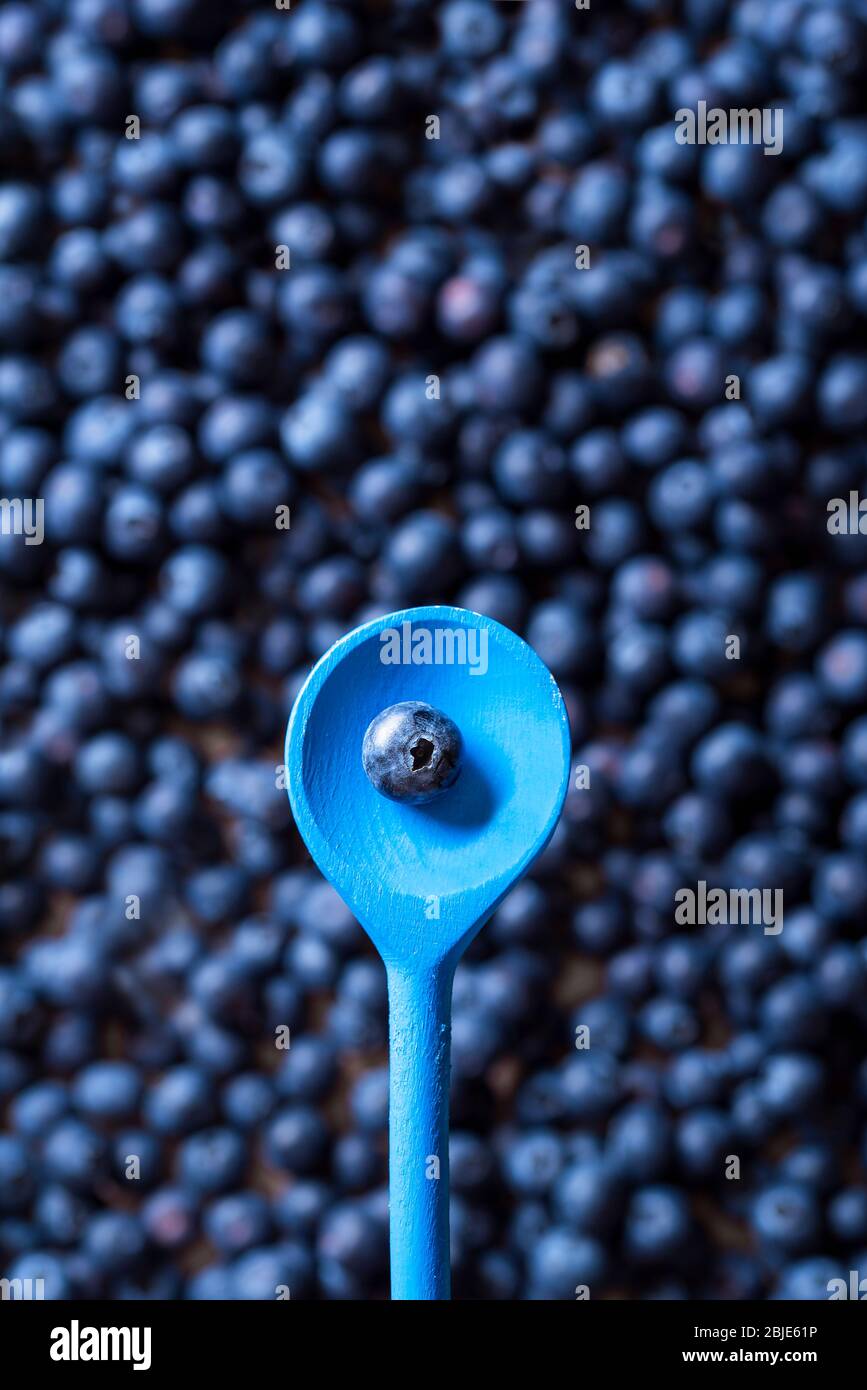 Organic raw blueberries pile and a spoon with just one fruit. Top view of a wooden spoon with a single blueberry fruit. Ready to eat summer fruits. Stock Photo