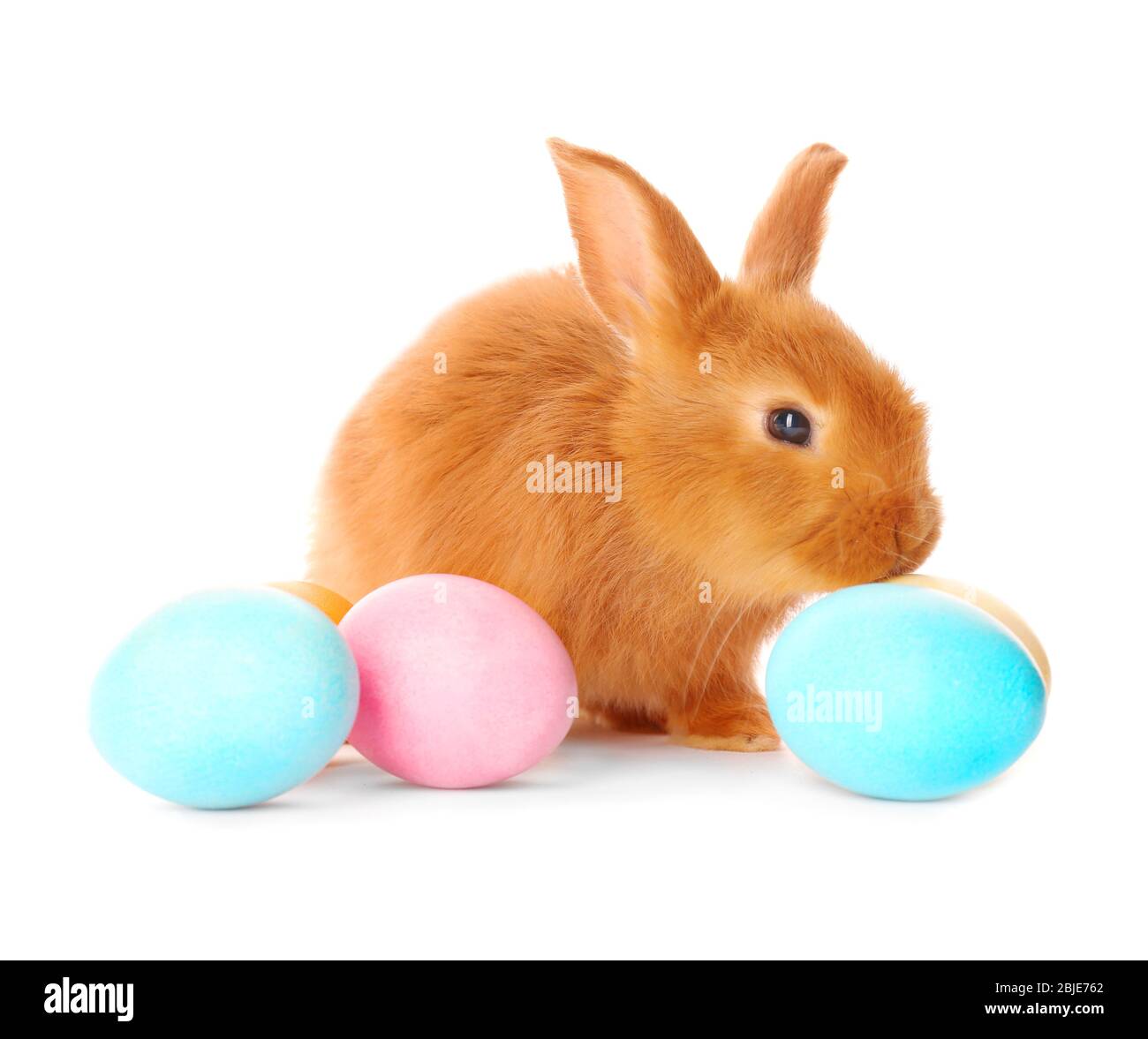 Cute red rabbit with Easter eggs on white background Stock Photo - Alamy