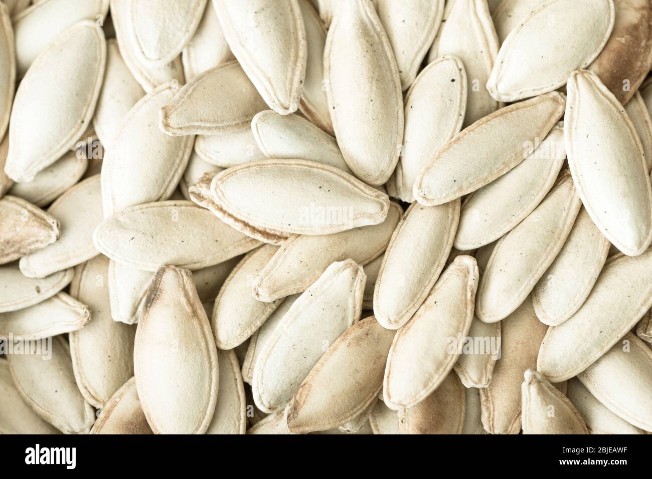 Roasted white melon seeds Stock Photo Alamy