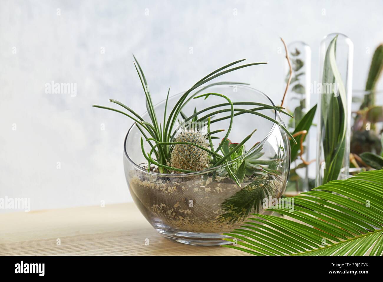 Florarium in glass vase with succulents on wooden table Stock Photo