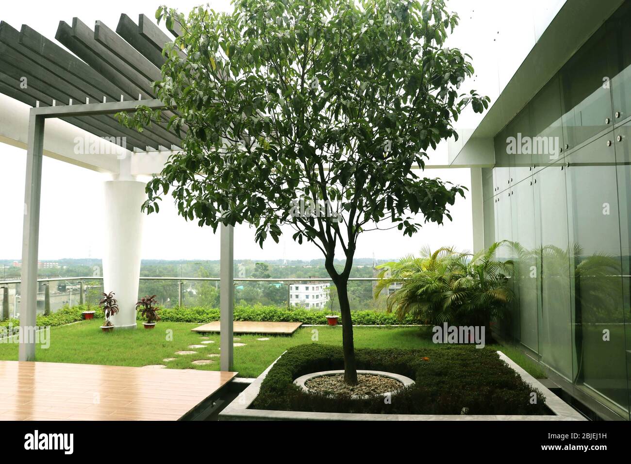 Design of a roof top garden with some beautiful green tree and other materials, environmental beauty Stock Photo