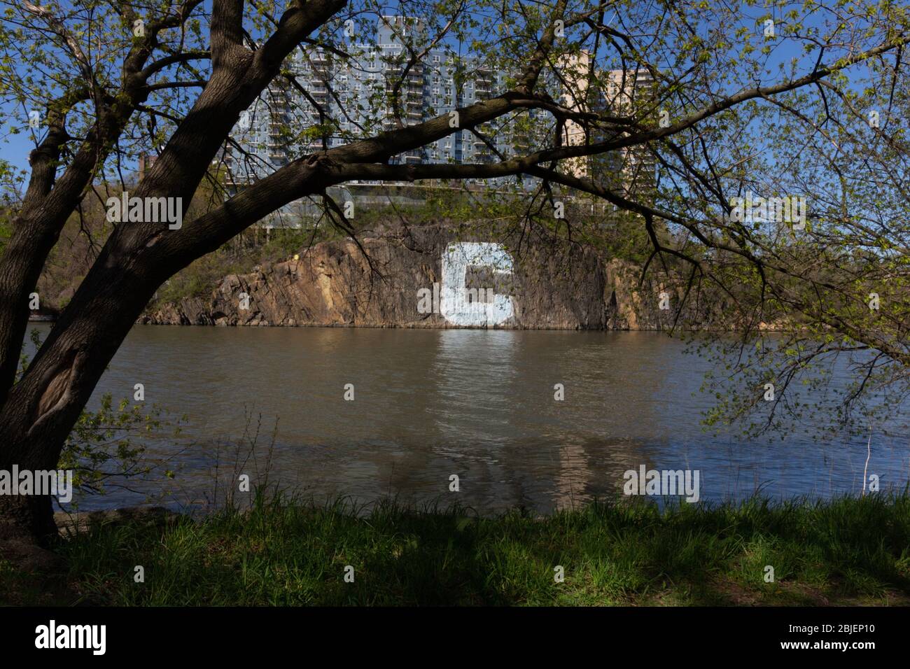 the letter C painted by Columbia University on the side of the north bank of the Harlem River as seen from Inwood Hill Park. Framed by a tree bough Stock Photo