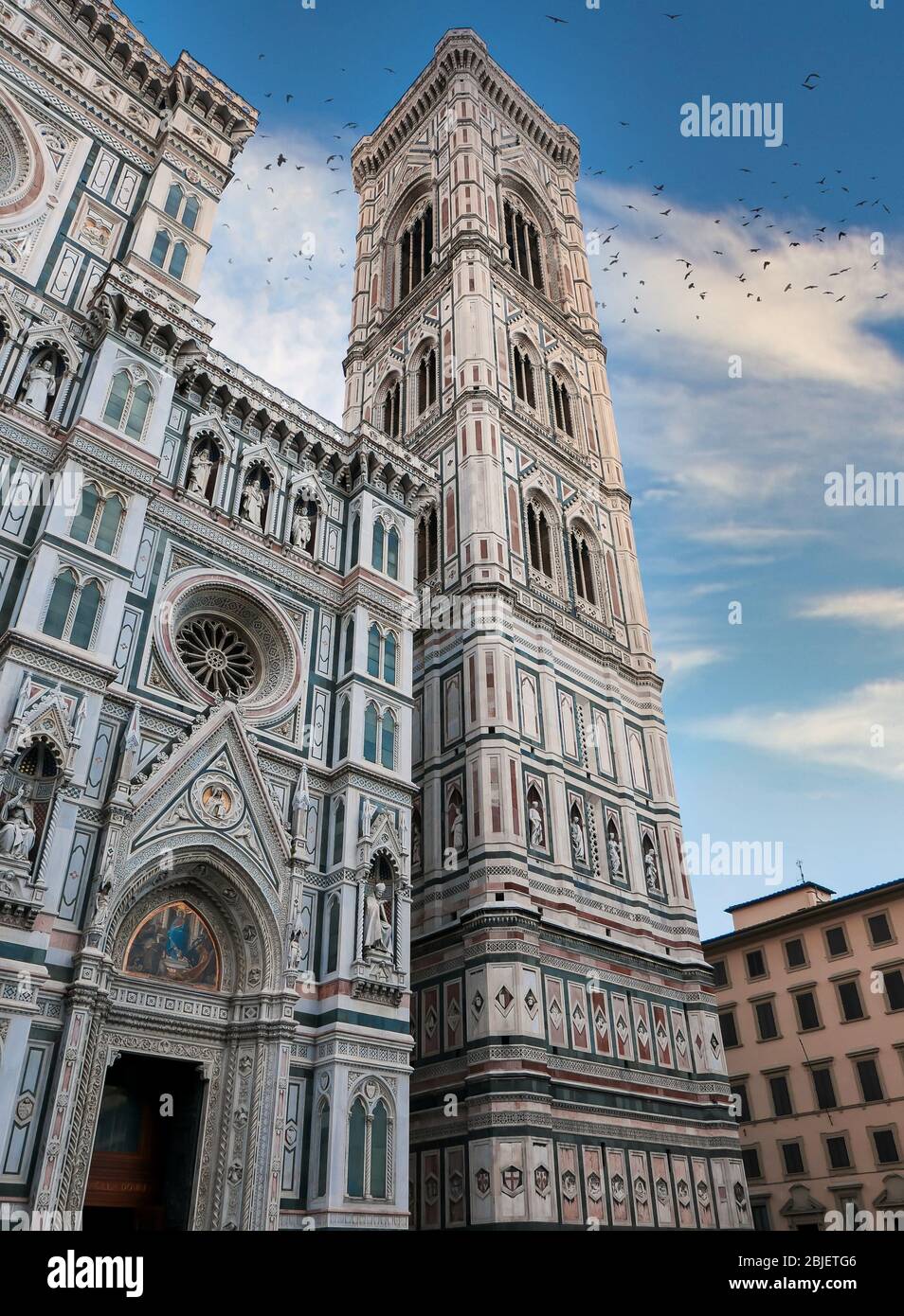 Florence cathedral birds hi-res stock photography and images - Alamy