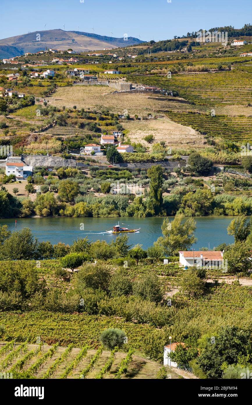 Rabelo port wine boat passing vineyards and wineries on the green hill slopes and banks of the River Douro region north of Viseu in Northern Portugal Stock Photo