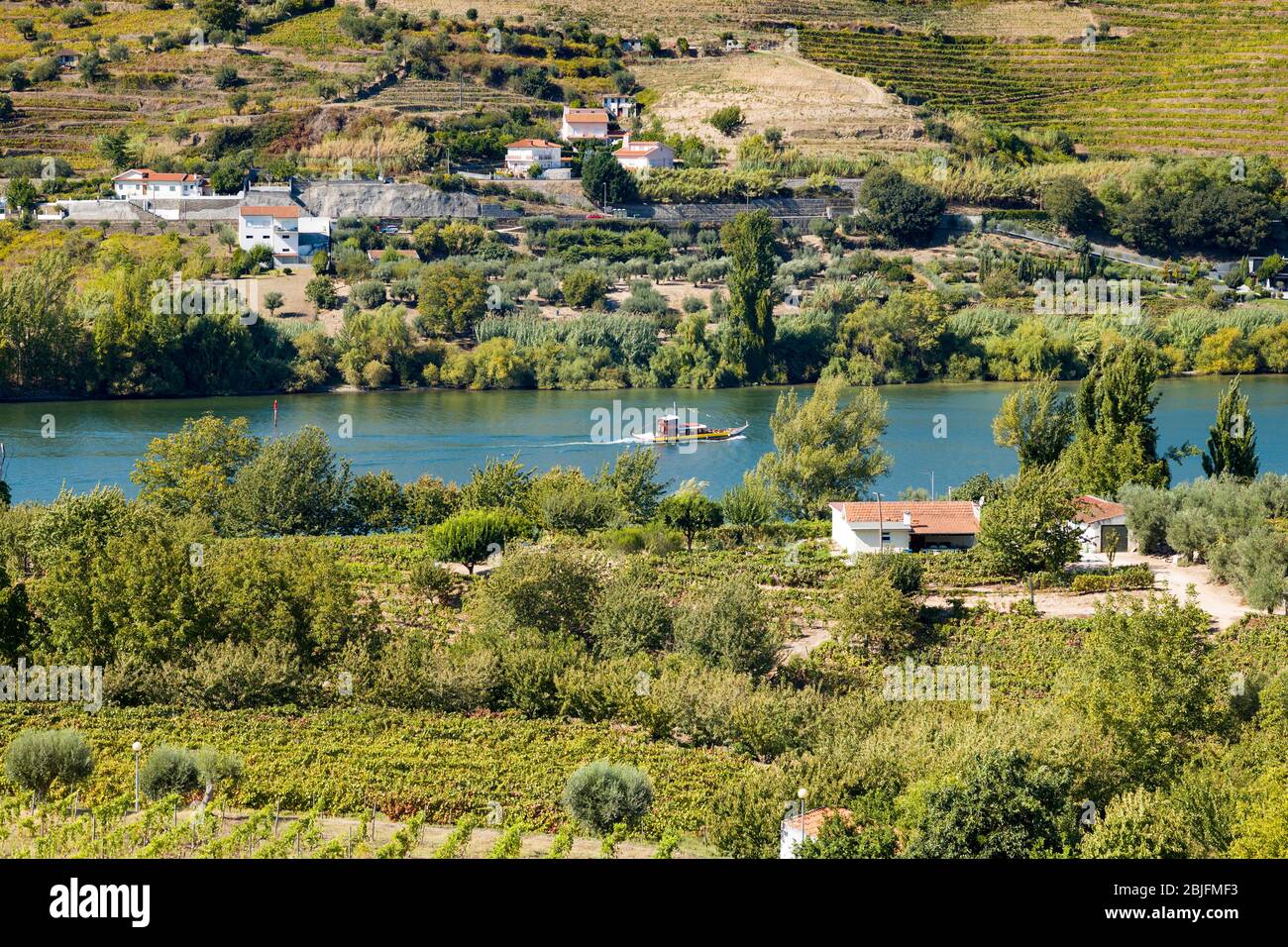 Rabelo port wine boat passing vineyards on the verdant green hill slopes and banks of the River Douro region north of Viseu in Portugal Stock Photo