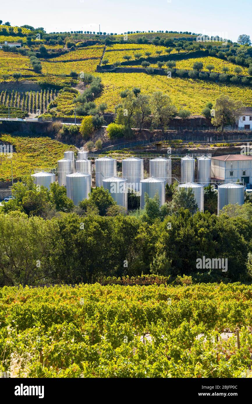 Stainless steel storage tanks for port wine production at Quinta do Castelinho on the hill slopes River Douro region in Portugal Stock Photo