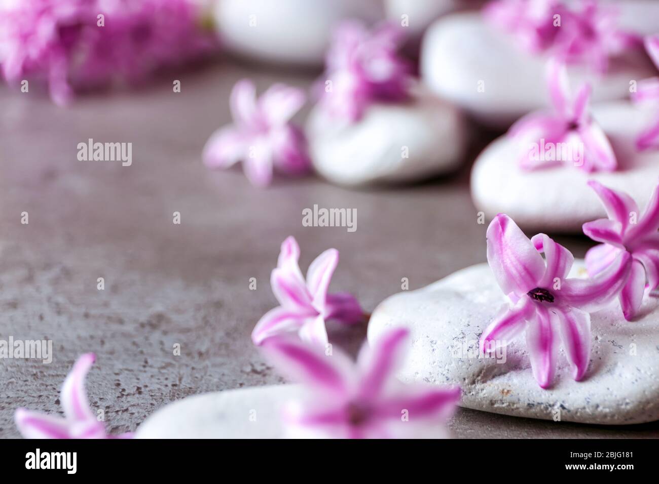 Spa stones and hyacinth on gray table Stock Photo