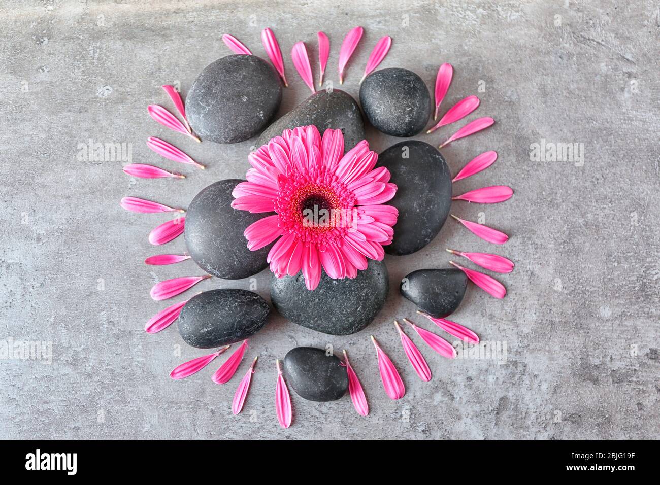 Spa stones and gerbera on gray background Stock Photo - Alamy