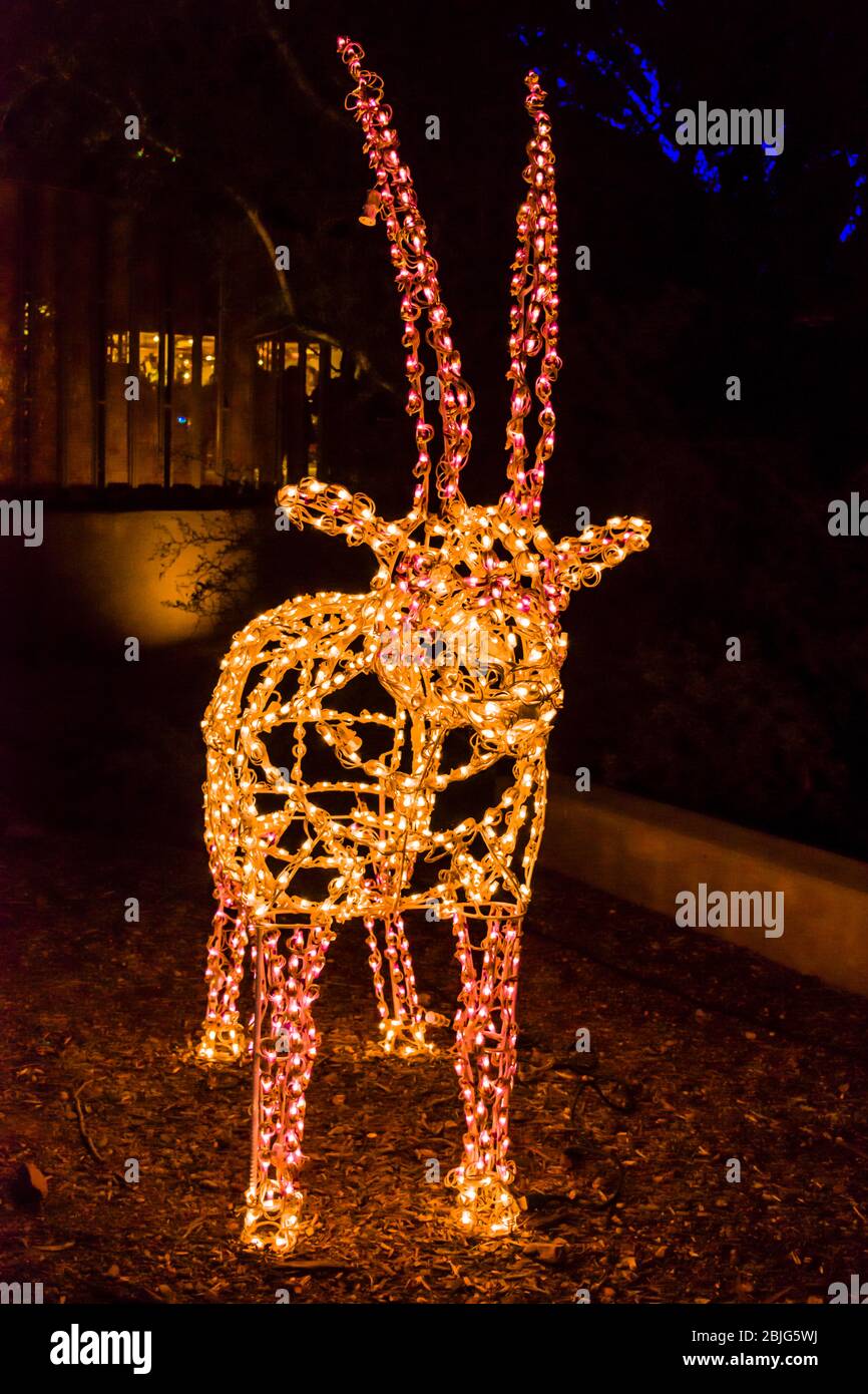 Phoenix Zoolights A Holiday Tradition Stock Photo Alamy
