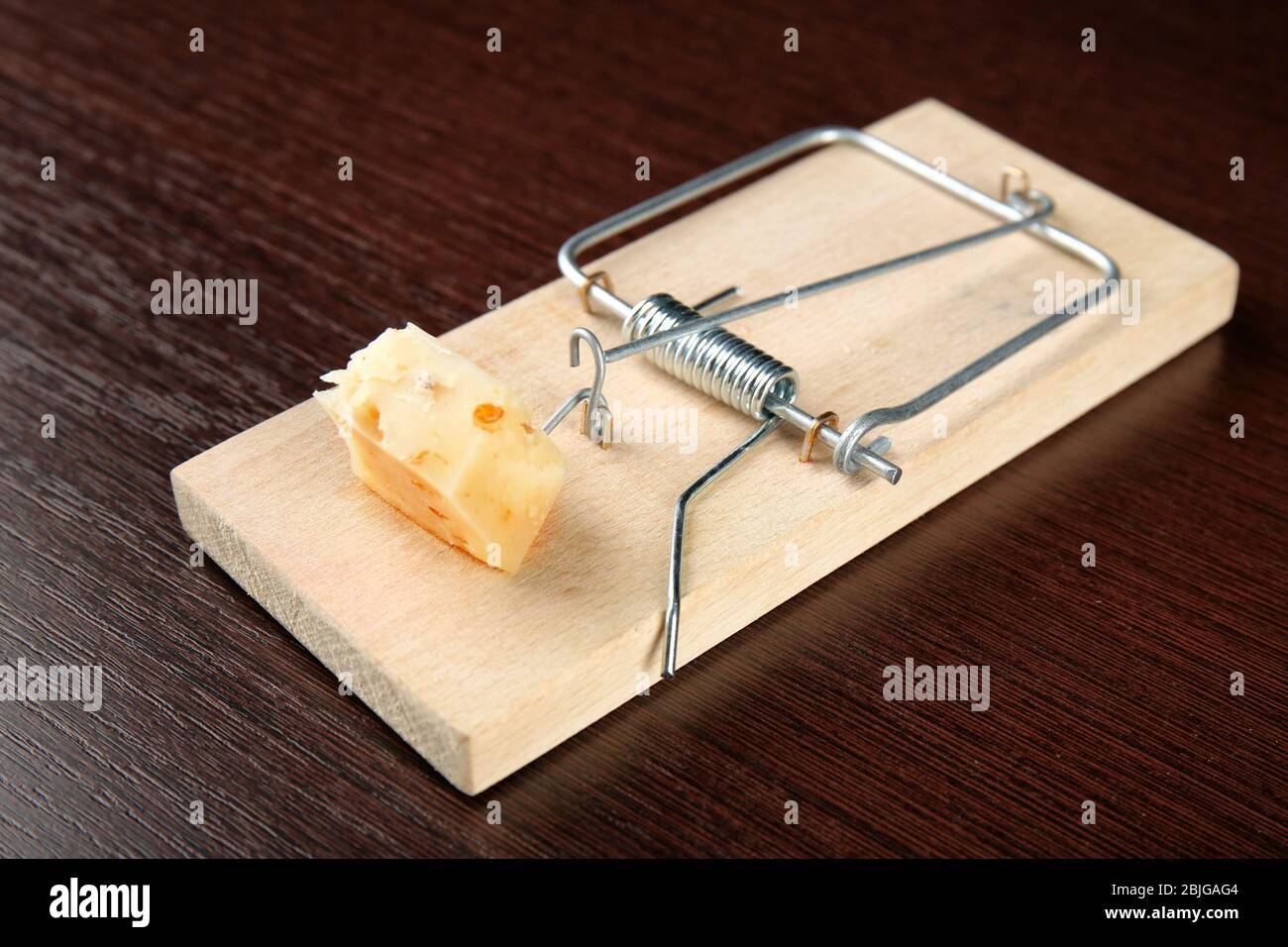 https://c8.alamy.com/comp/2BJGAG4/mousetrap-with-cheese-on-wooden-background-2BJGAG4.jpg