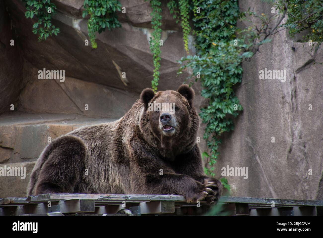 Milwaukee County Zoo Stock Photo Alamy