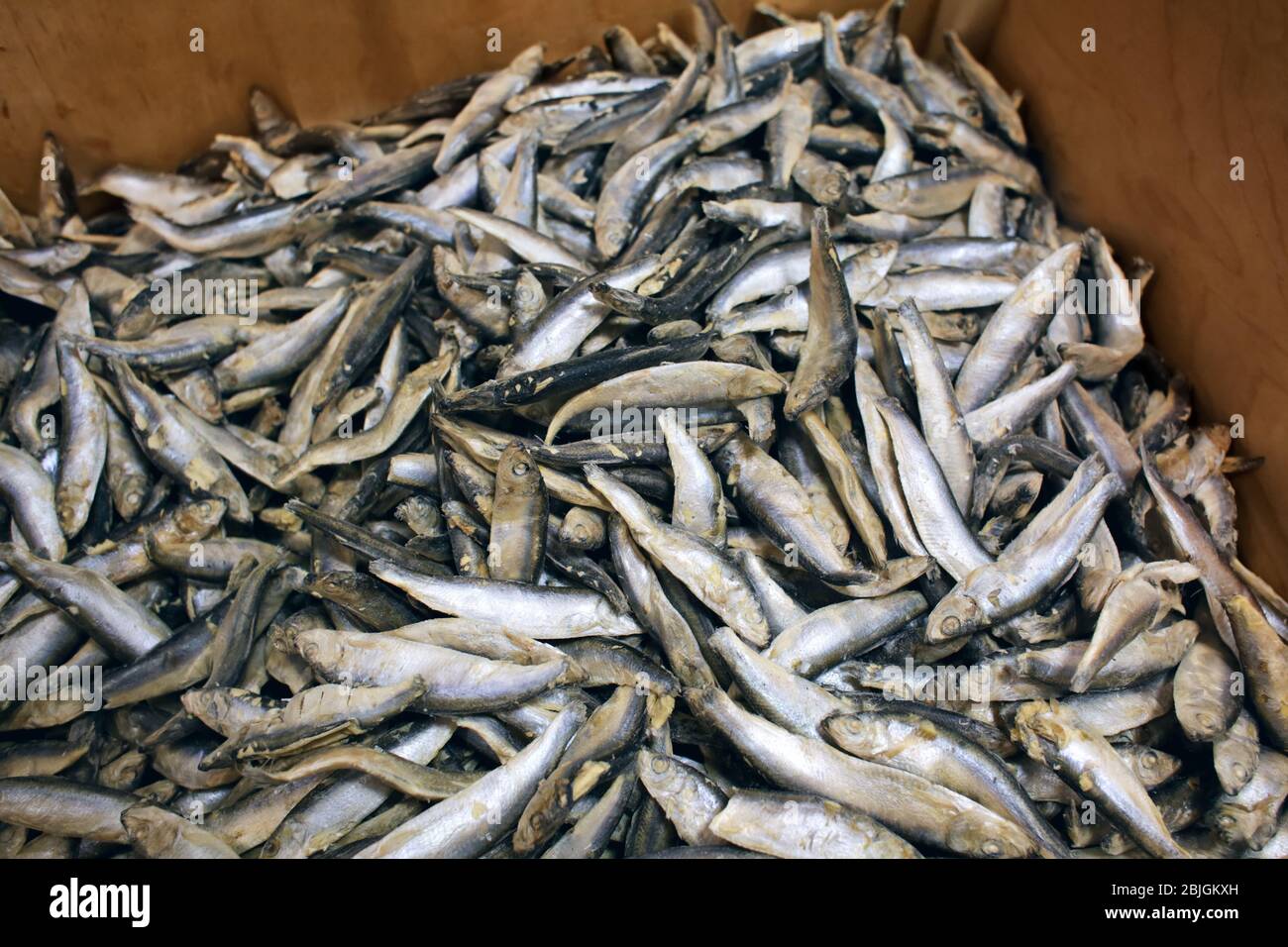 Frozen fish in supermarket Stock Photo Alamy