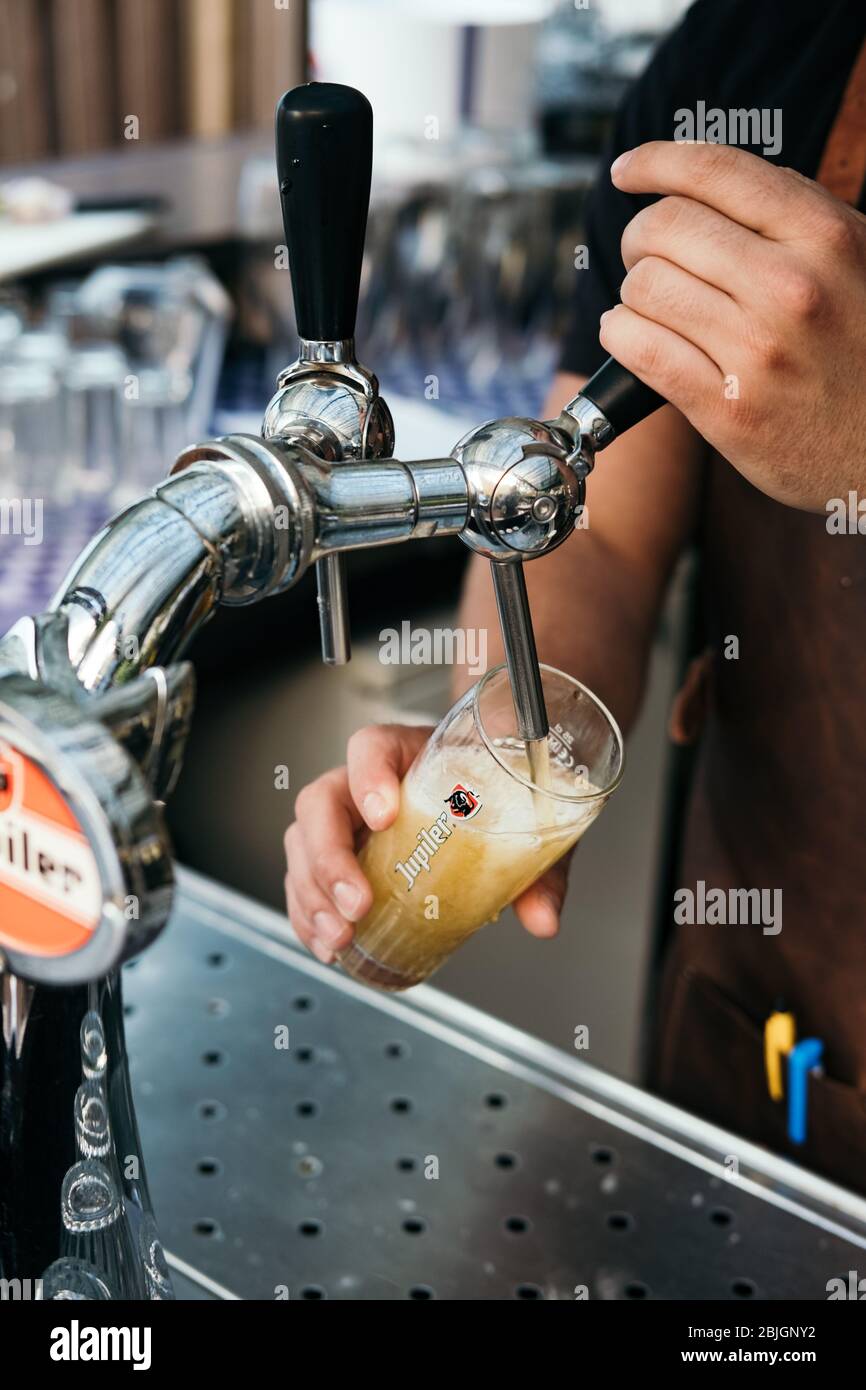 Barman pouring a glass of draft beer from a tap. Close up view. Hands of bartender pouring lager beer. Beer tap. Alcohol beverage. Stock Photo