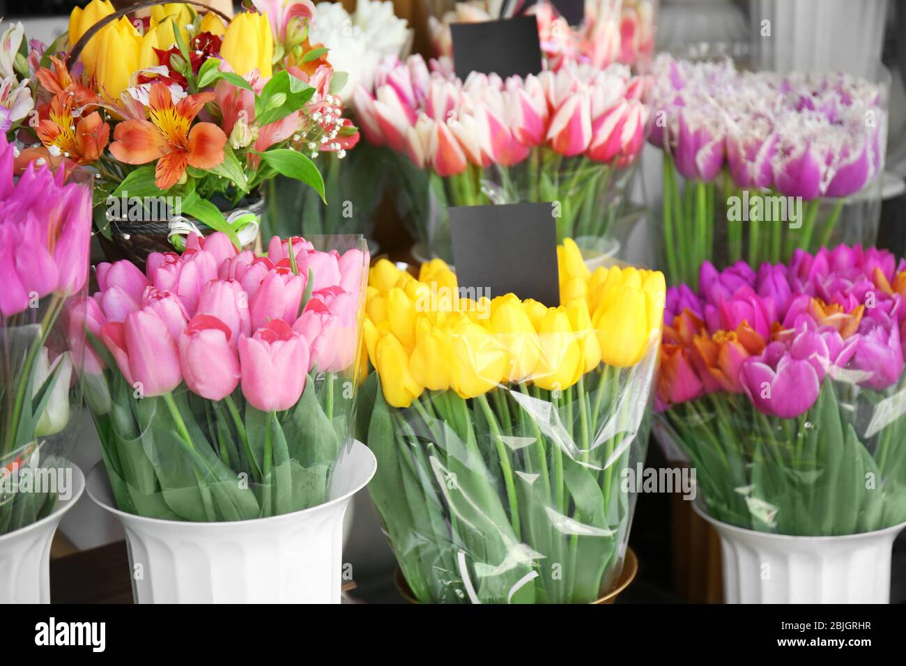 Colorful tulips in flower shop Stock Photo Alamy