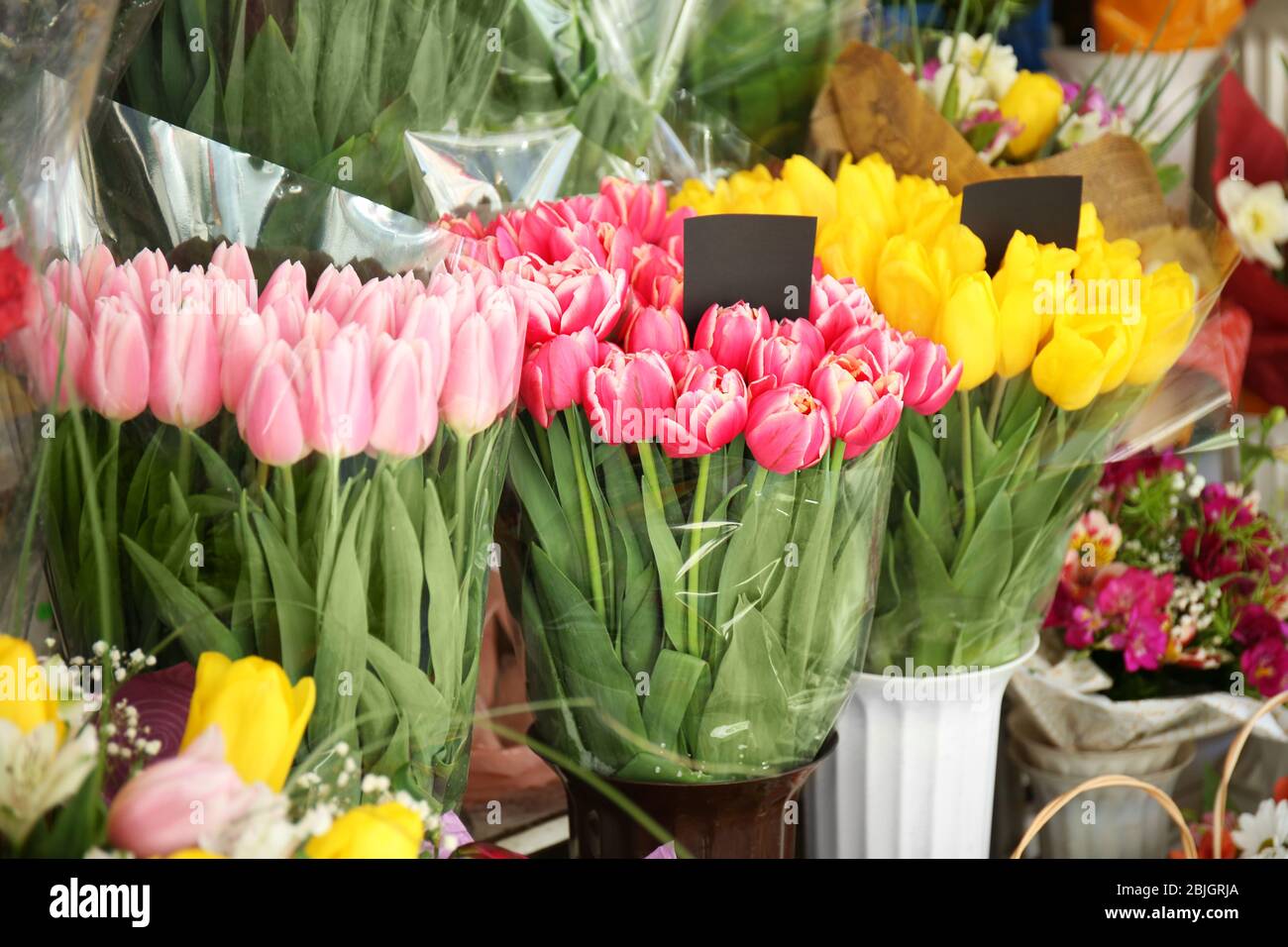 Colorful tulips in flower shop Stock Photo - Alamy