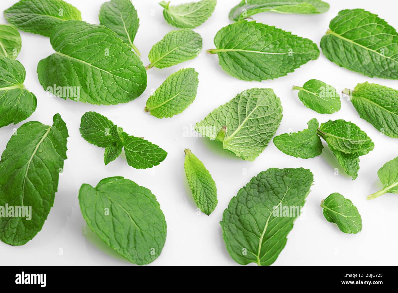 Lemon balm leaves near me