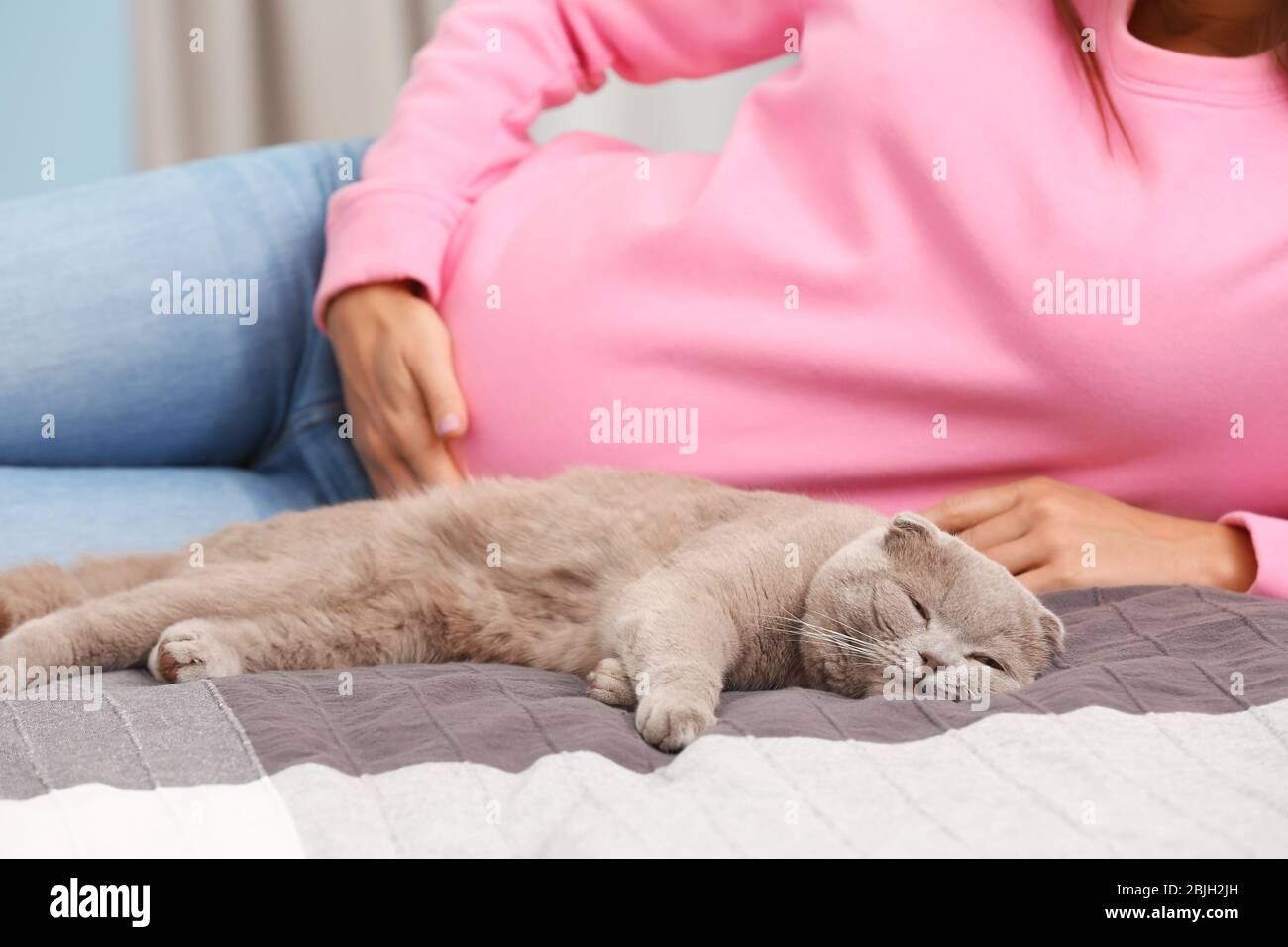 Cute cat and pregnant woman on bed Stock Photo Alamy