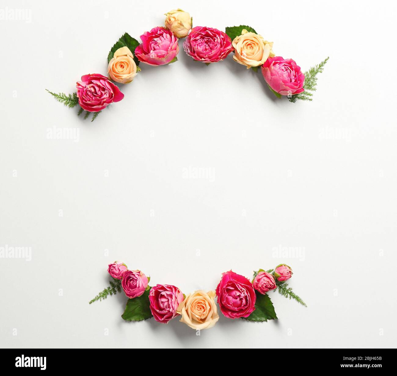 Beautiful flowers and green leaves as floral frame on white background ...