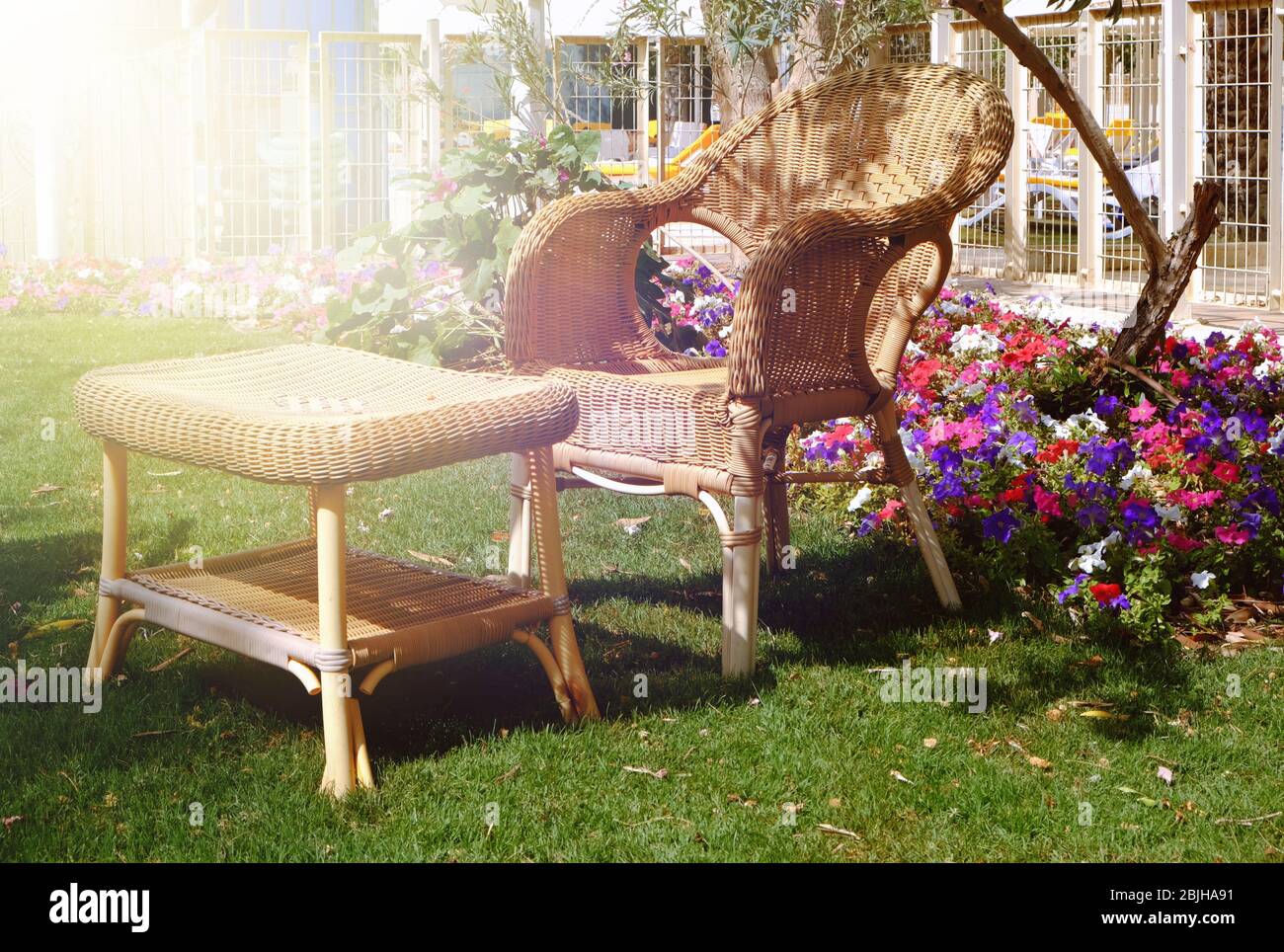 Rattan furniture on lawn in backyard Stock Photo Alamy