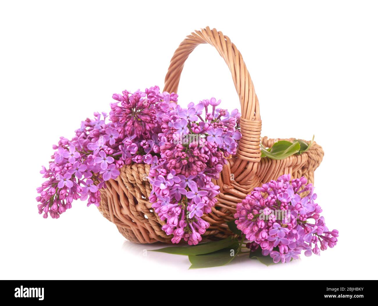 Wicker basket with beautiful lilac flowers on white background Stock ...