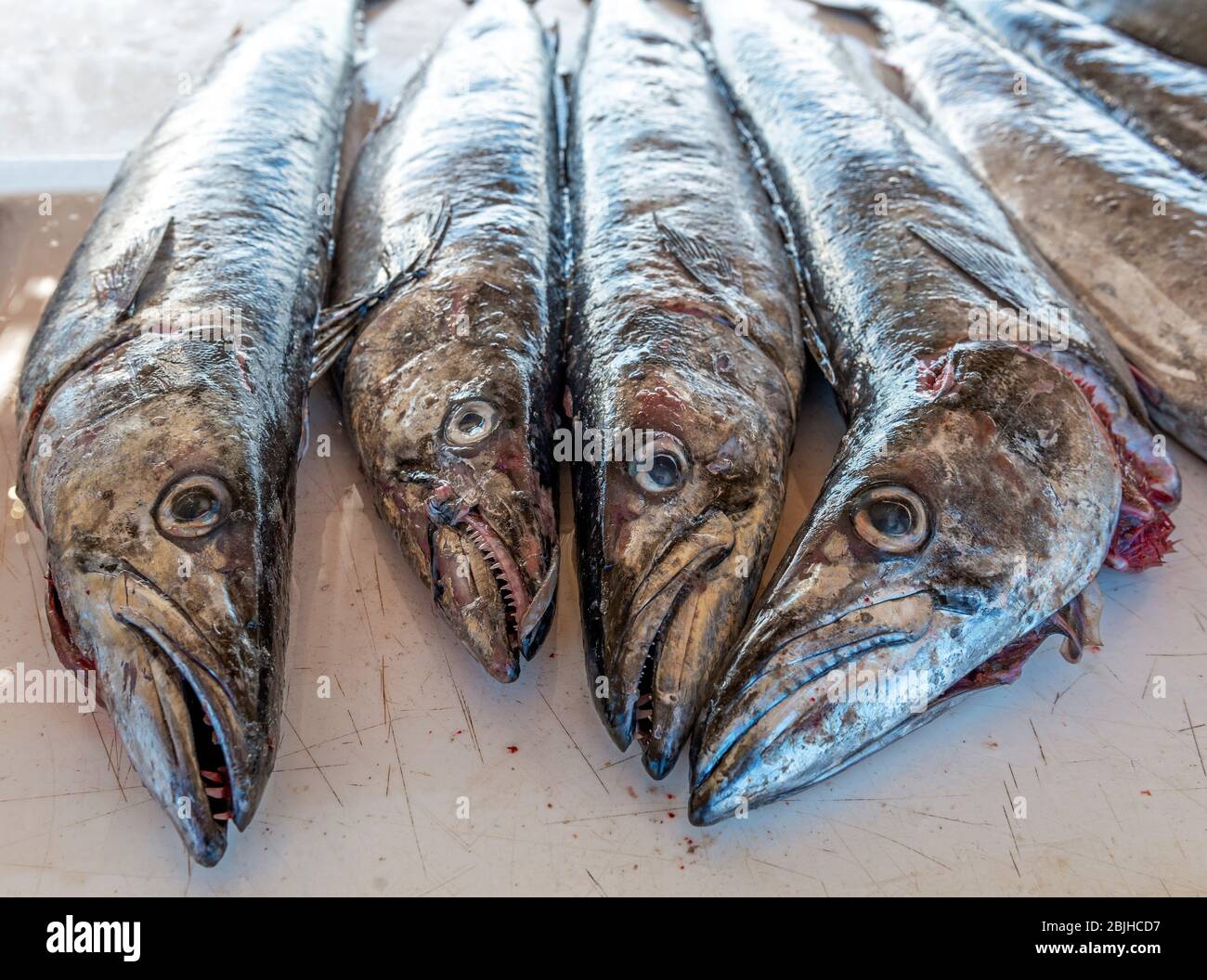 Barracuda (Sphyraena) in the local fish market of Kalk Bay near Cape Town, South Africa. Stock Photo