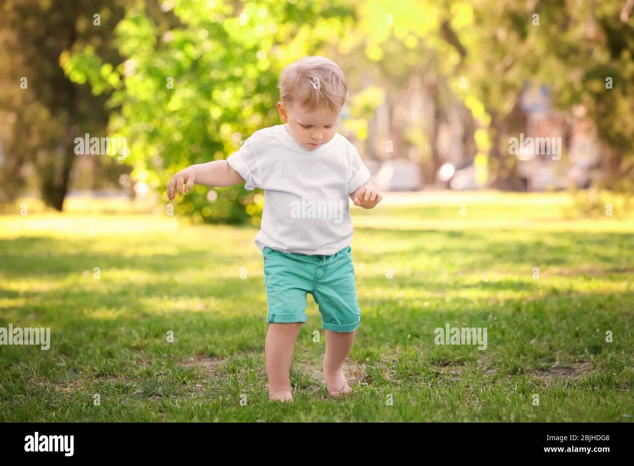 Cute baby boy walking in green park on sunny day Stock Photo Alamy