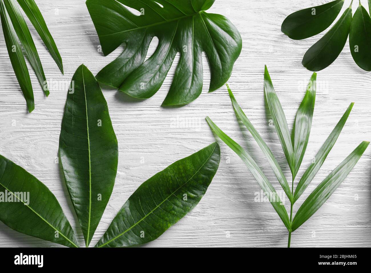 Tropical leaves on wooden background Stock Photo