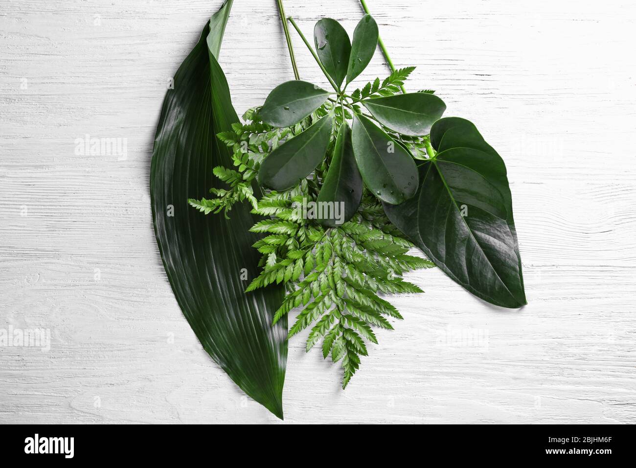 Tropical leaves on wooden background Stock Photo