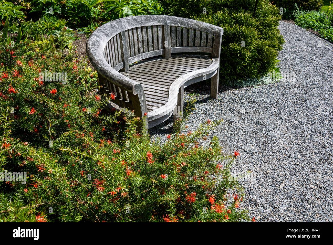 Weathered wooden bench beside a gravel path in a sunny garden Stock Photo