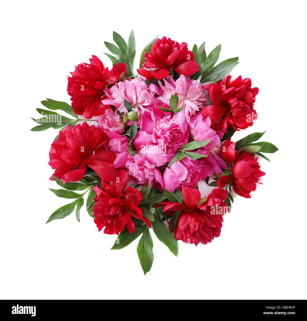 Bouquet of beautiful peony flowers on white background Stock Photo - Alamy