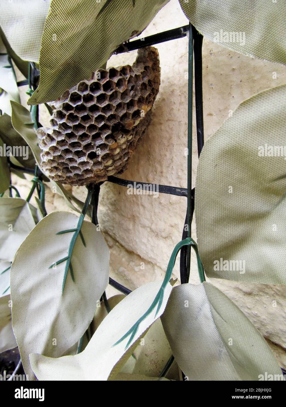 Big Wasps Nest, Crete, Greece Stock Photo Alamy
