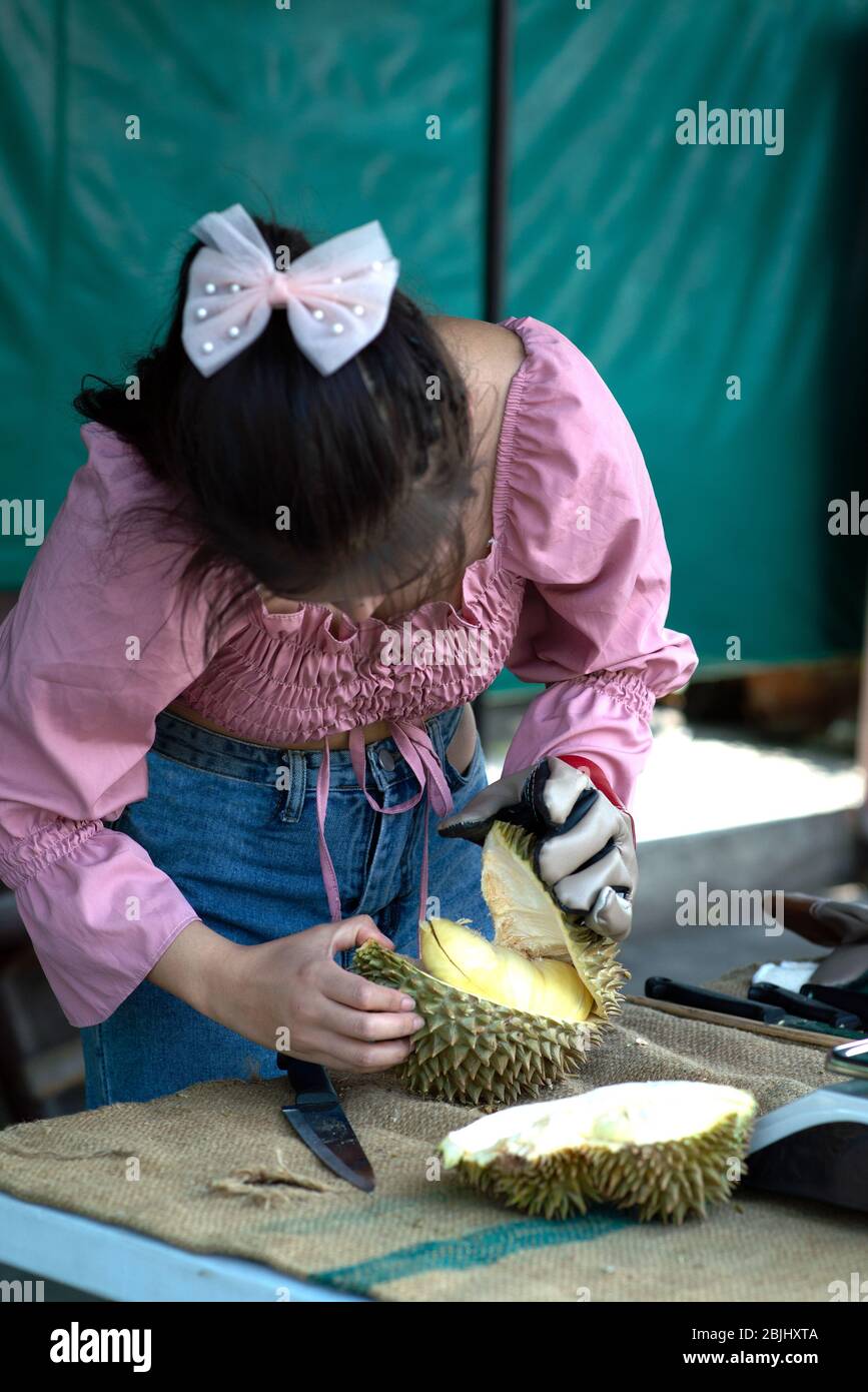 Asian pretty woman tearing durian by hand, durians, often called the