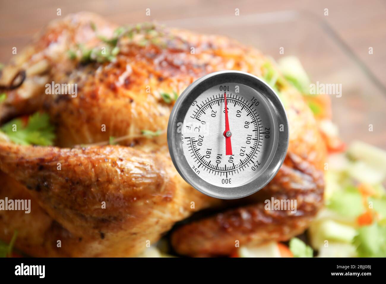 https://c8.alamy.com/comp/2BJJ0BJ/golden-roasted-turkey-with-meat-thermometer-close-up-2BJJ0BJ.jpg