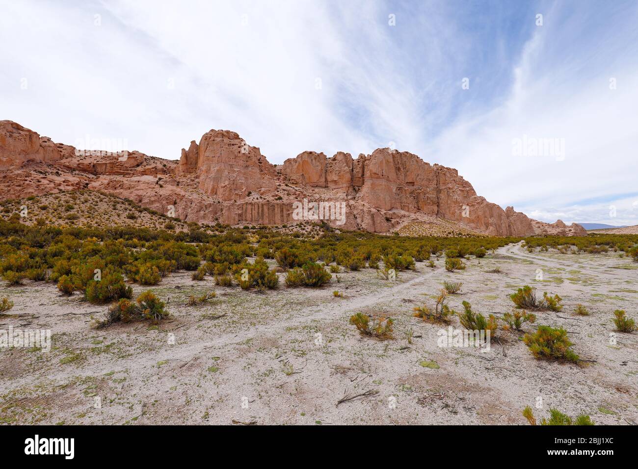 Bolivian Plateau Canyon Del Rio Anaconda In The Bolivian Plateau Landscape Of The Bolivian Highlands Desert Landscape Of The Andean Plateau Of Bolivia 2BJJ1XC 