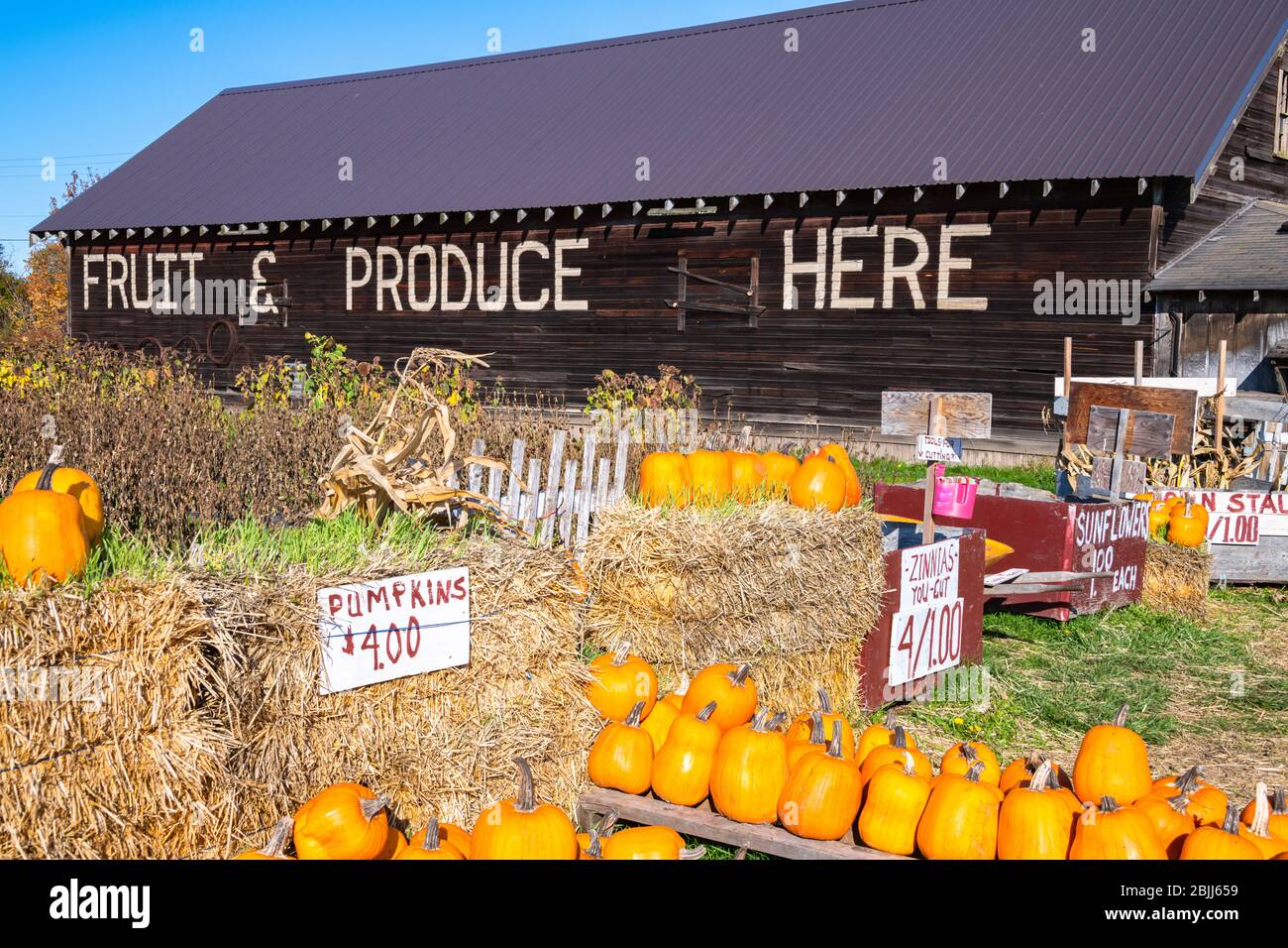 Farmer's Fruit & Produce Roadside Stand with Pumpkins Stock Photo