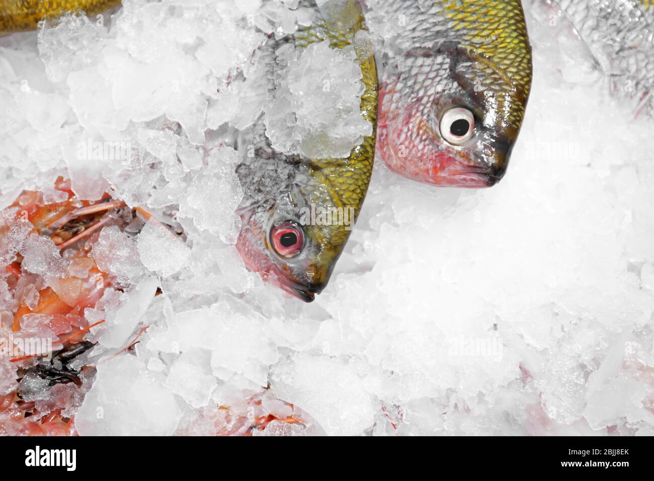Fresh fish on ice in market Stock Photo - Alamy