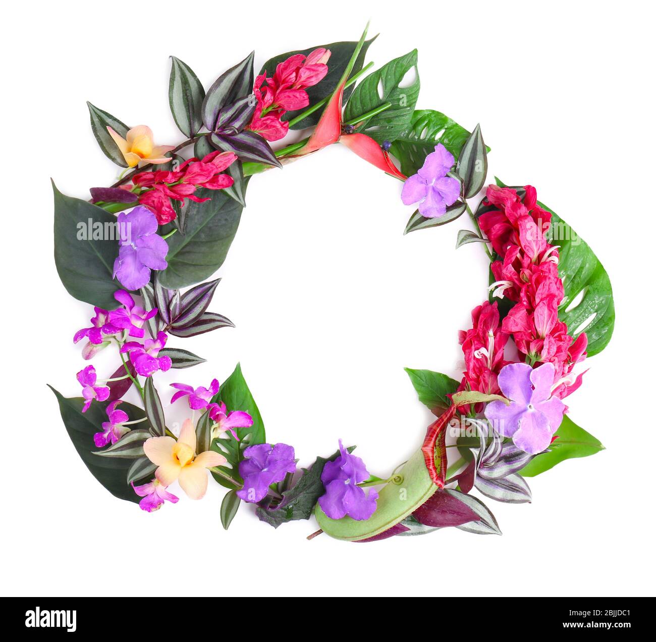 Frame made of beautiful tropical flowers and leaves on white background ...