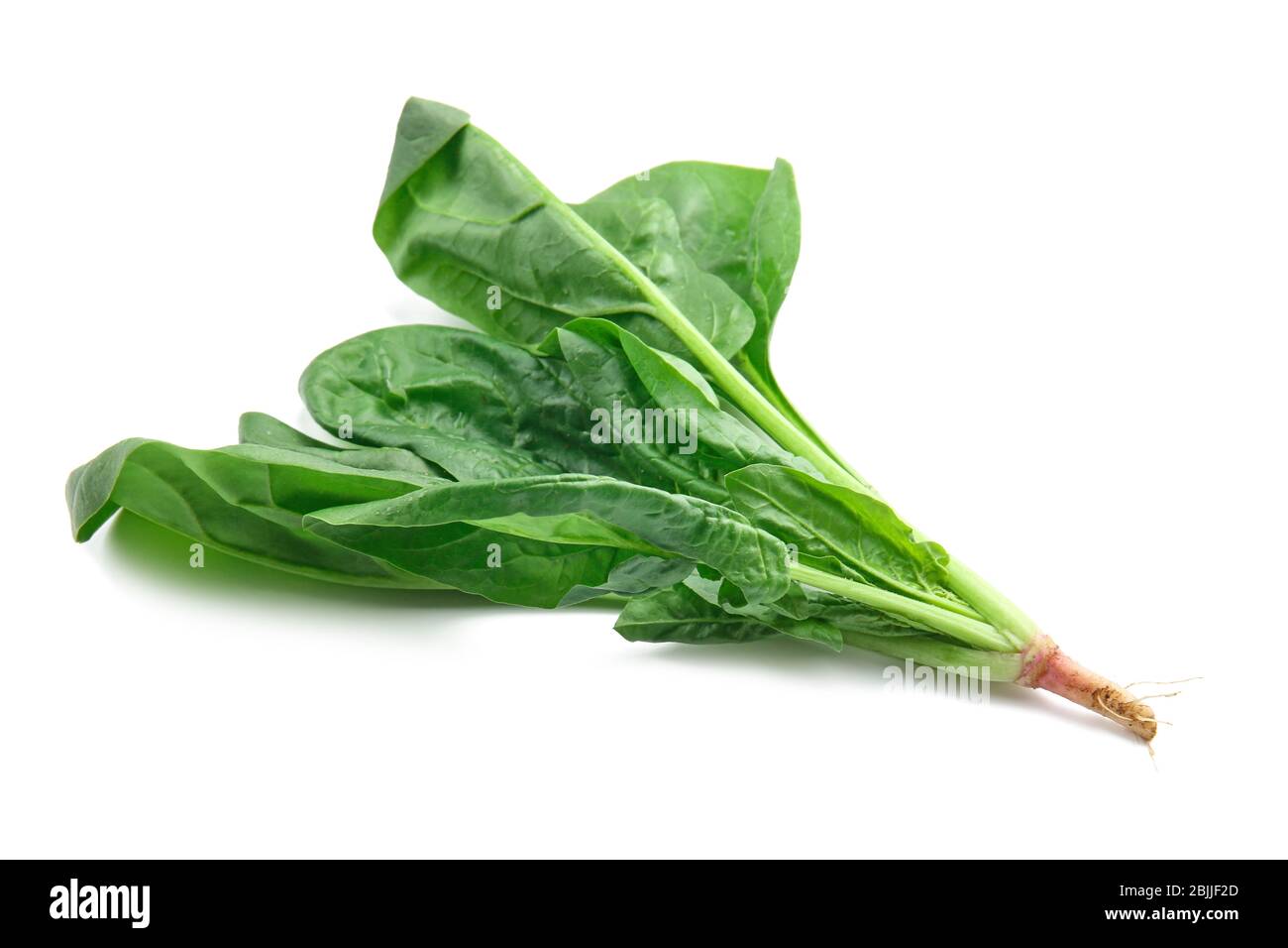 Fresh spinach leaves on white background Stock Photo - Alamy