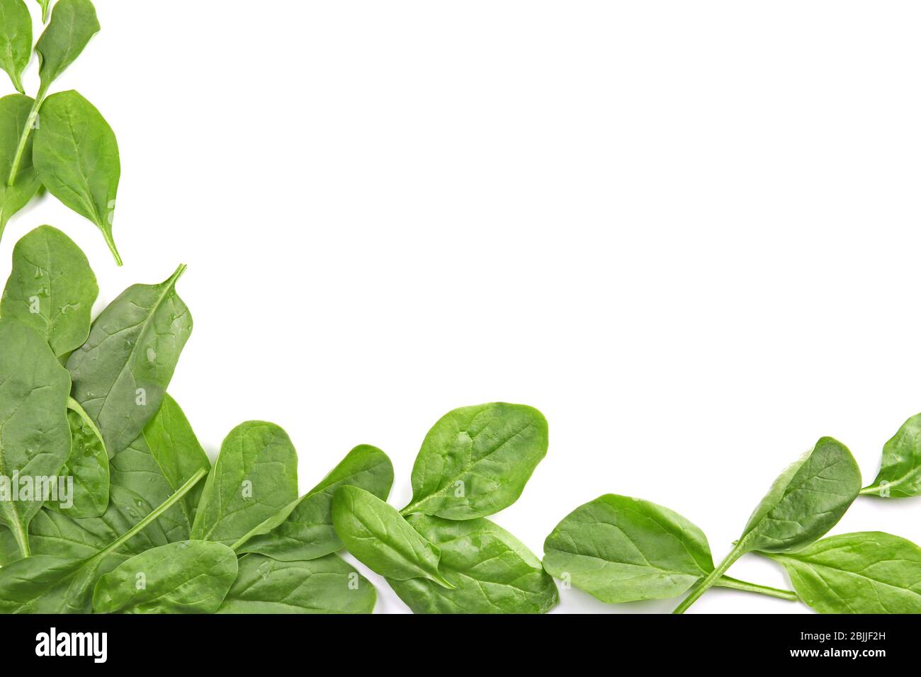 Fresh spinach leaves on white background Stock Photo - Alamy