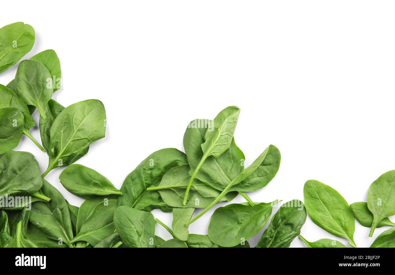 Fresh spinach leaves on white background Stock Photo - Alamy