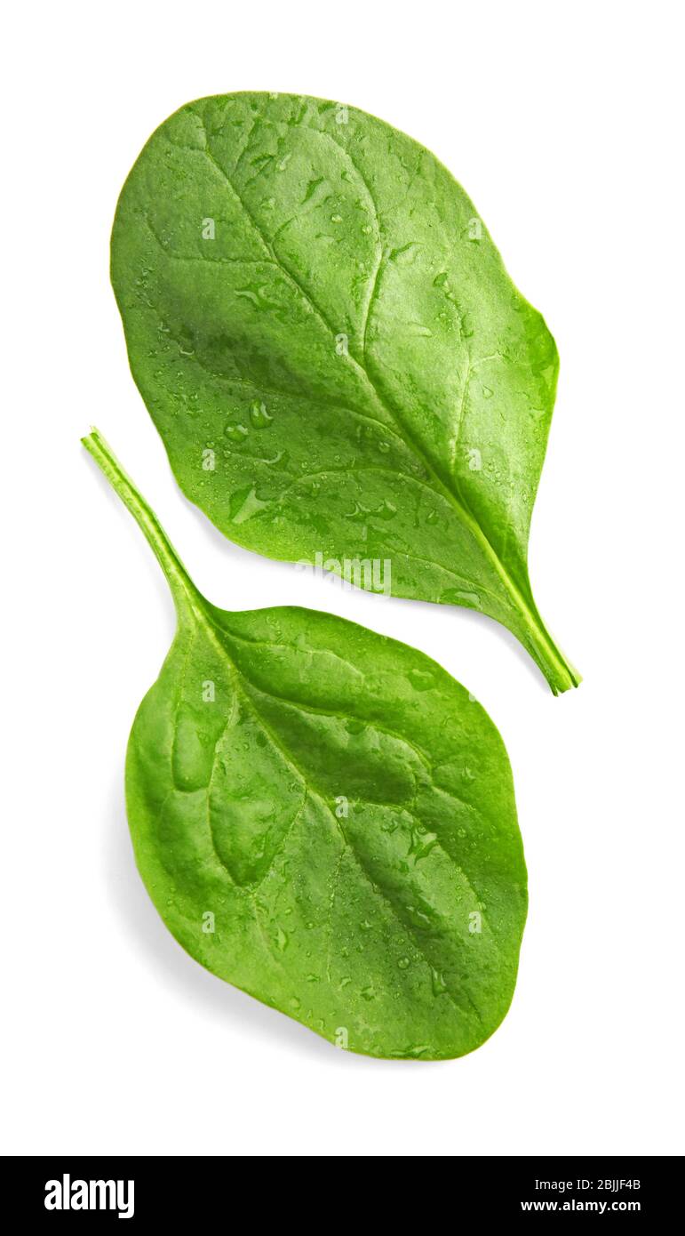 Fresh spinach leaves on white background Stock Photo - Alamy