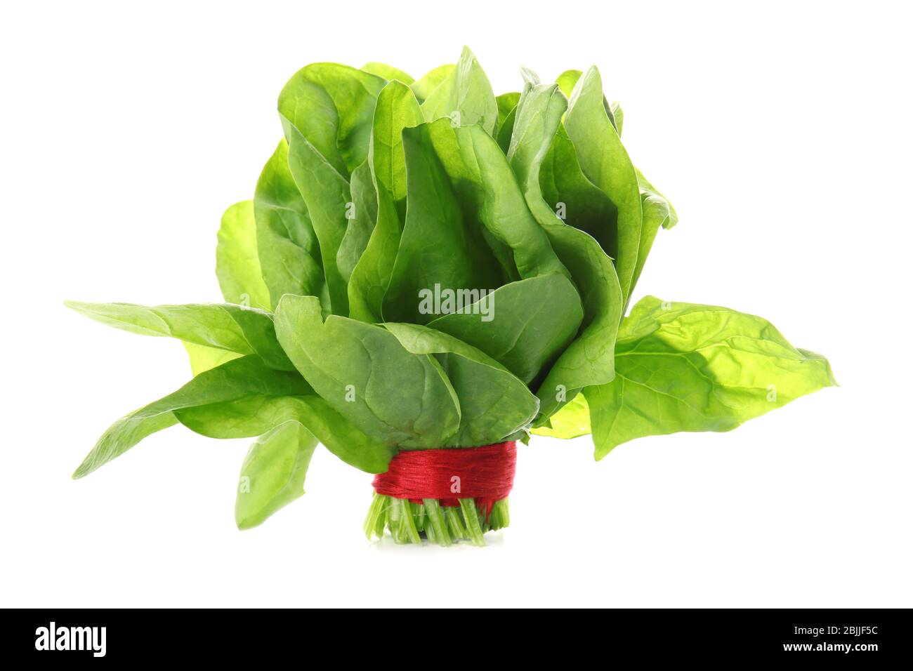 Fresh bunch of spinach on white background Stock Photo - Alamy
