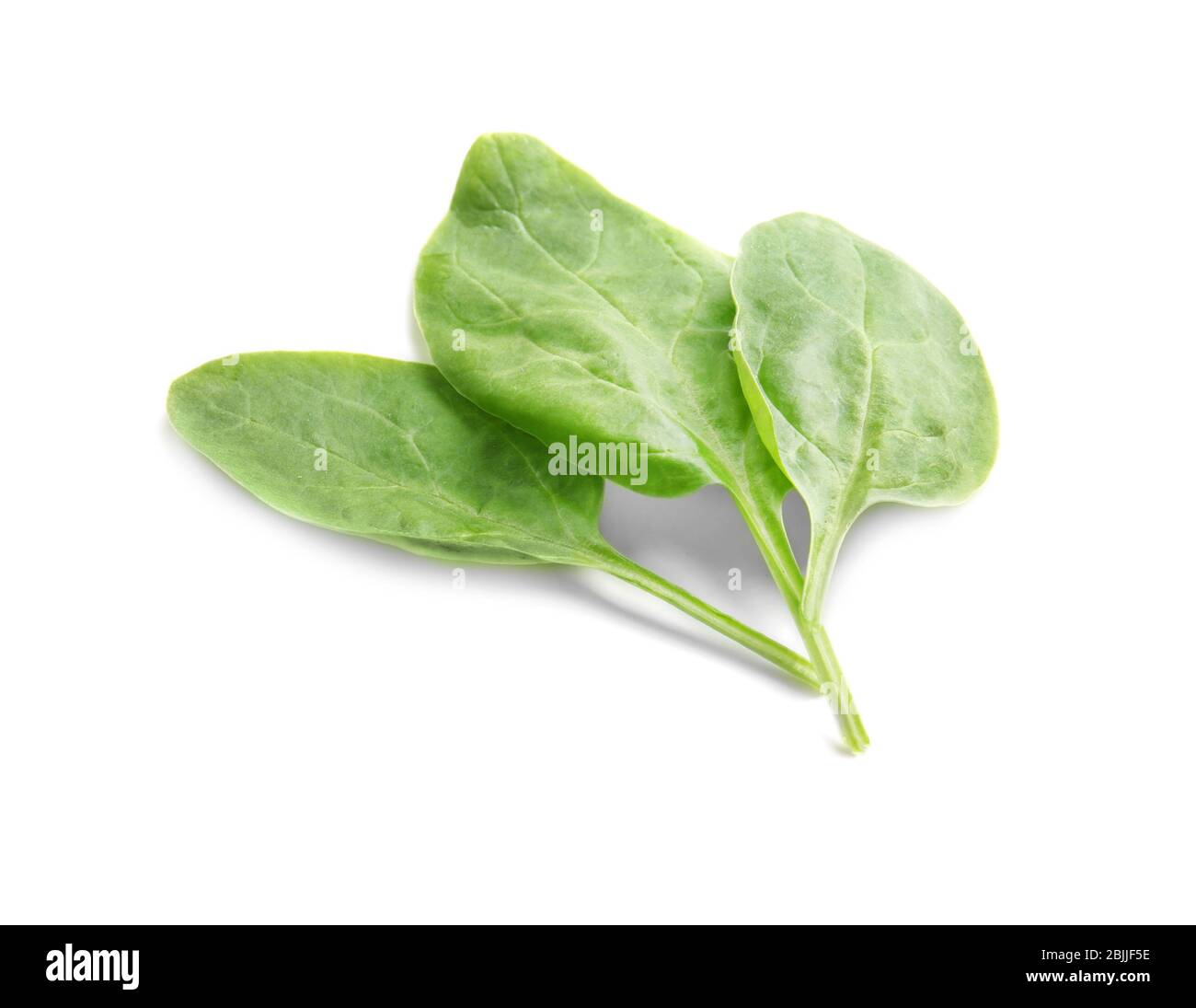 Fresh spinach leaves on white background Stock Photo - Alamy