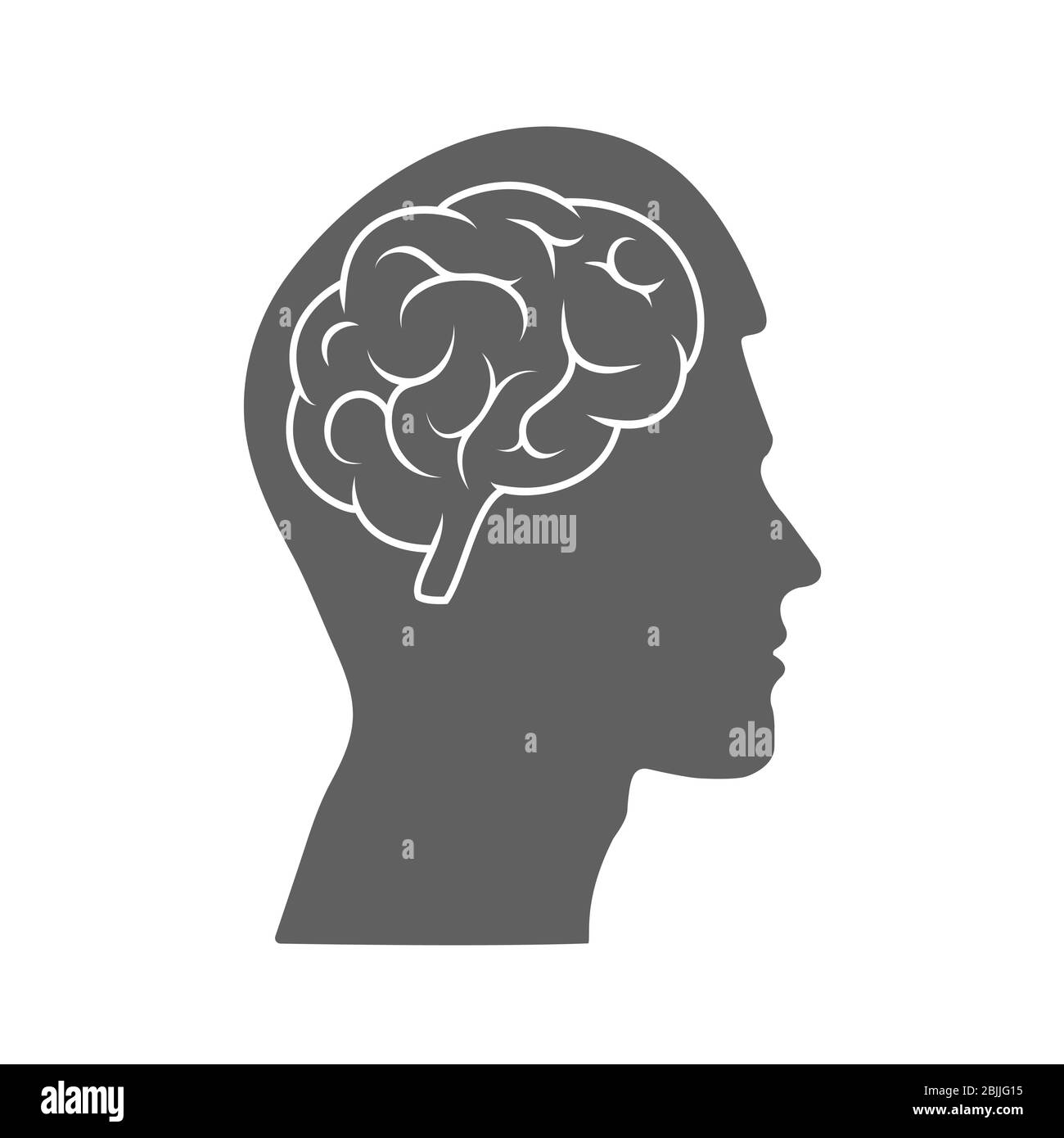 Vector icon of a male head with a brain. The silhouette is isolated on ...