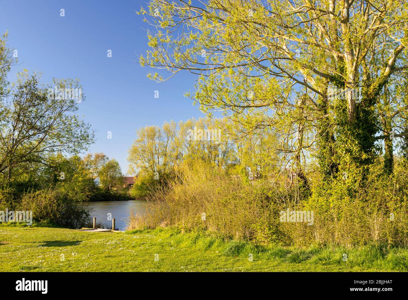 Lake and trees at Buckley Common, Flintshire, North Wales Stock Photo