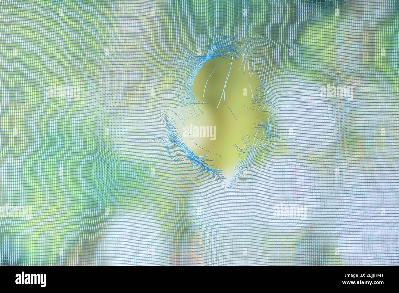 Torn window screen, closeup Stock Photo
