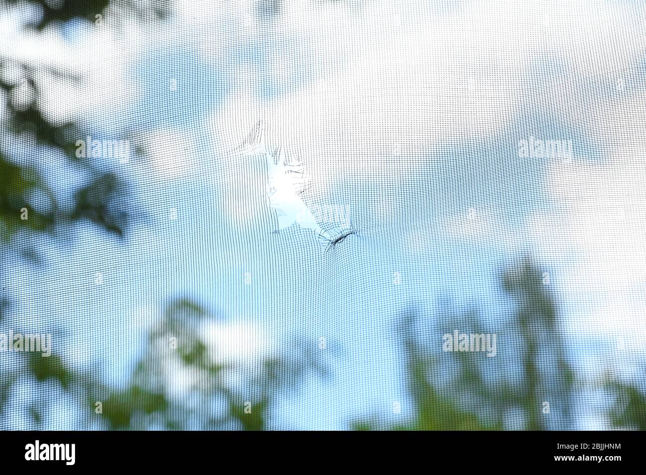 Torn window screen, closeup Stock Photo
