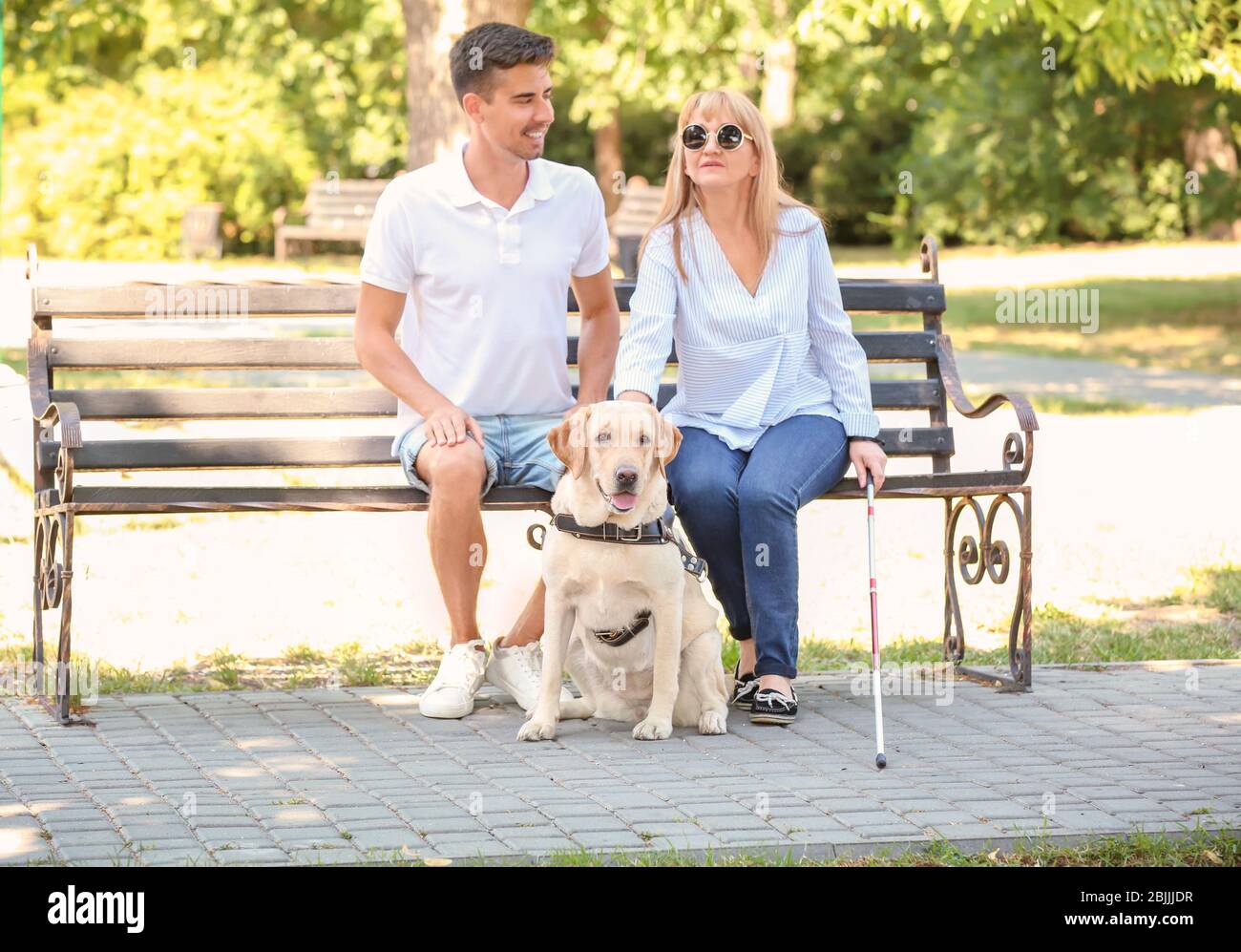 Elderly woman on bench dog hi-res stock photography and images - Alamy